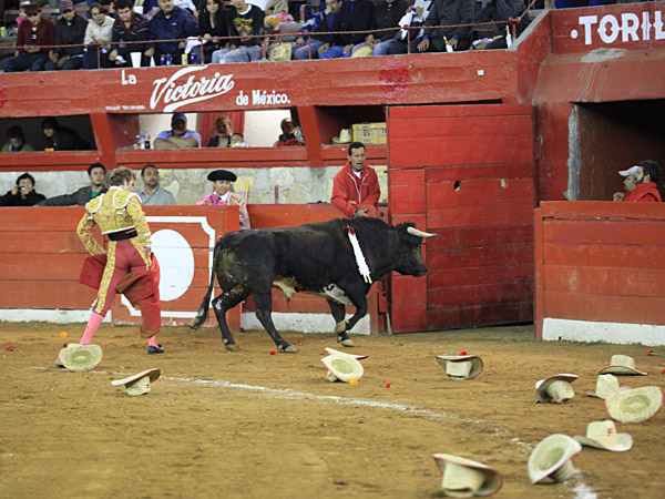 Regresa en medio de sombreros