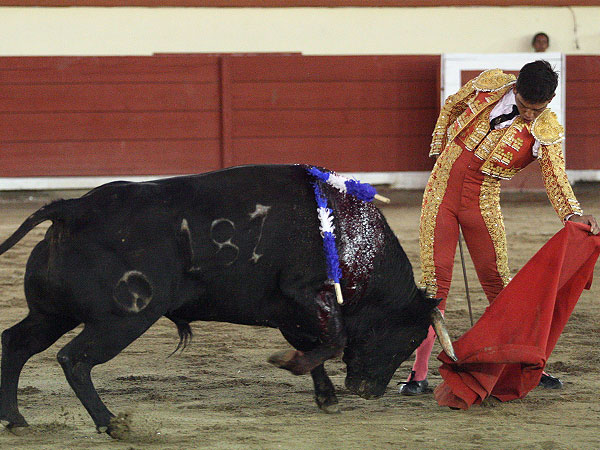 El toro tenia calidad