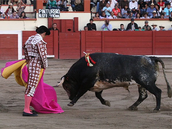 Una media con seoro