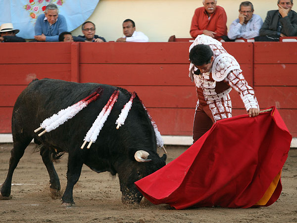 Saboreando la embestida