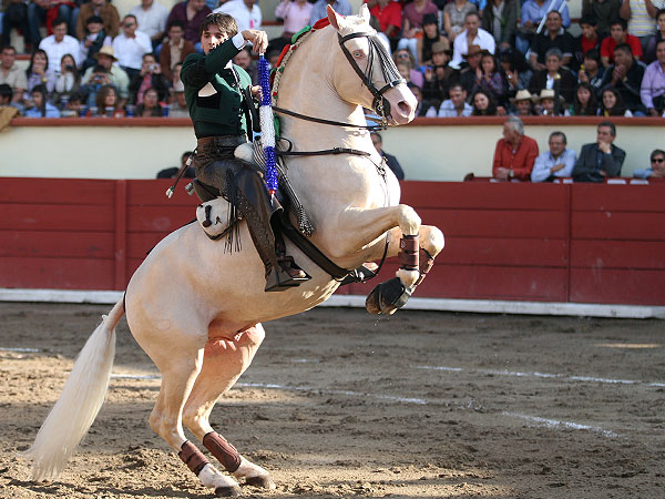 Hermosa estampa