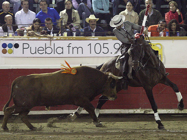 Ventura toreando de costado