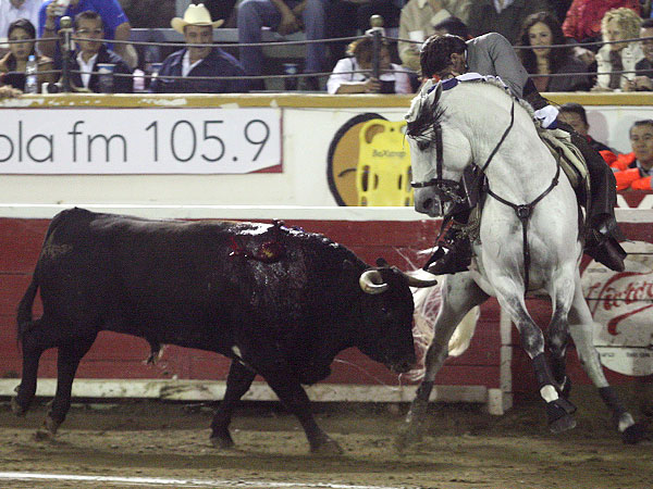 Caballos toreros