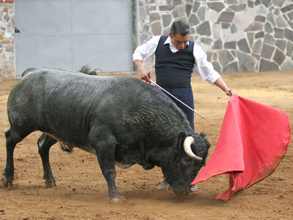 Cadencioso ayudado