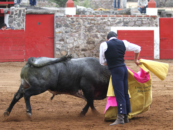 Dando la rplica a Garibay