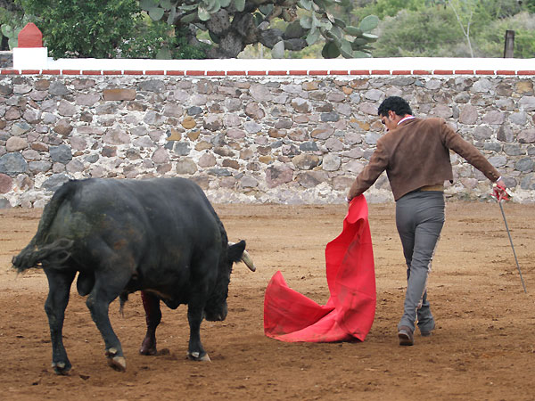 Andando en torero