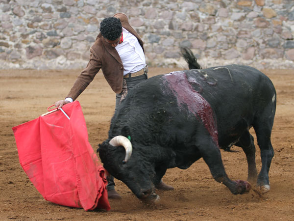 Viva Mxico, seores!