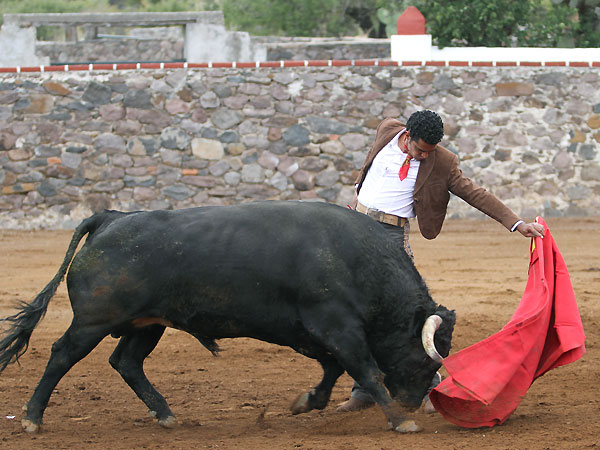 Probndolo por el izquierdo