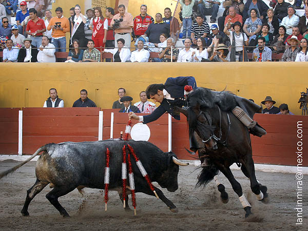 Banderilla corta