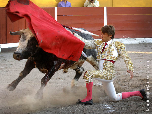 Rodilla en tierra