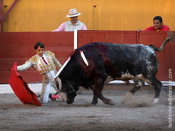 Prlogo de hinojos