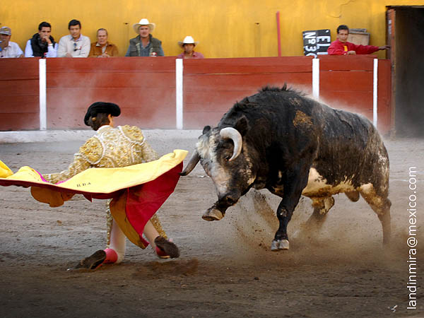 Larga en los medios