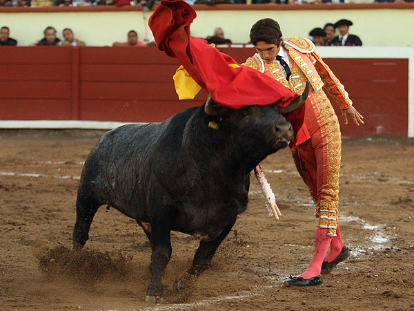 Sintiendo la embestida