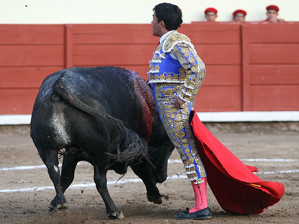 Mirando al tendido