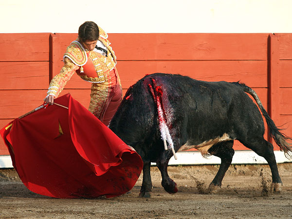 Oficio depurado