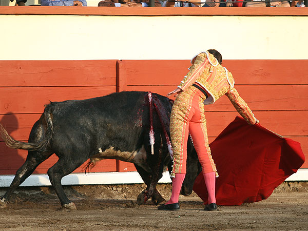 Torendolo en las tablas