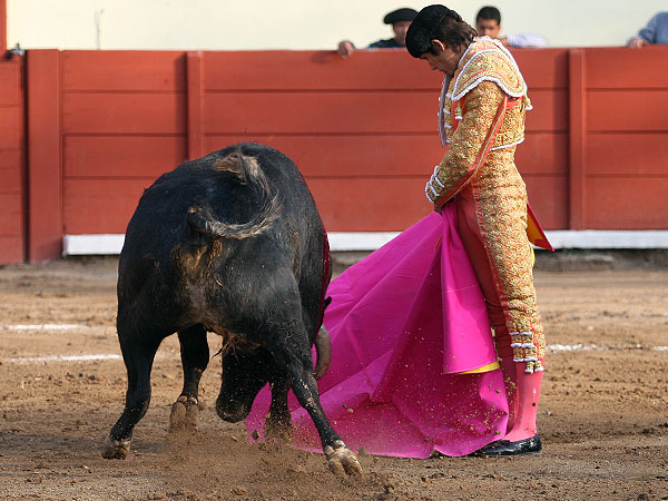 La media de Castella