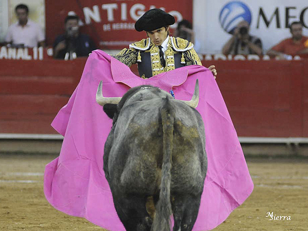 Fija la mirada en el toro