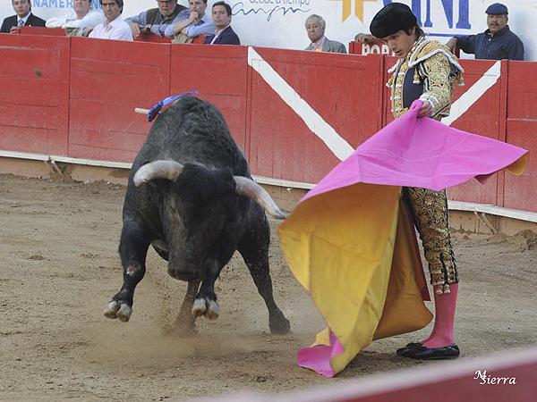 Castella, con el percal