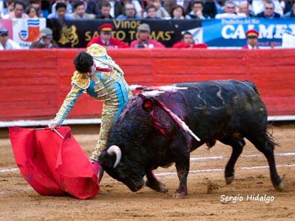 Templando la embestida