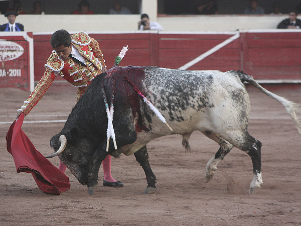 Fijo en la muleta