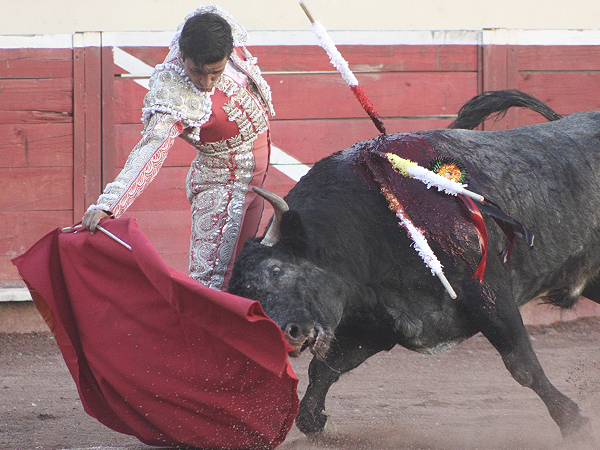 Llevando al toro