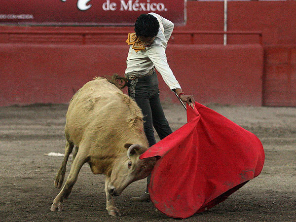 Con aire de figura