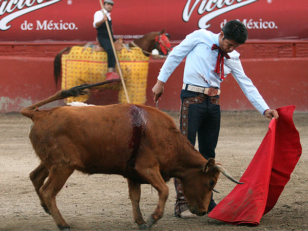 Acariciando la embestida