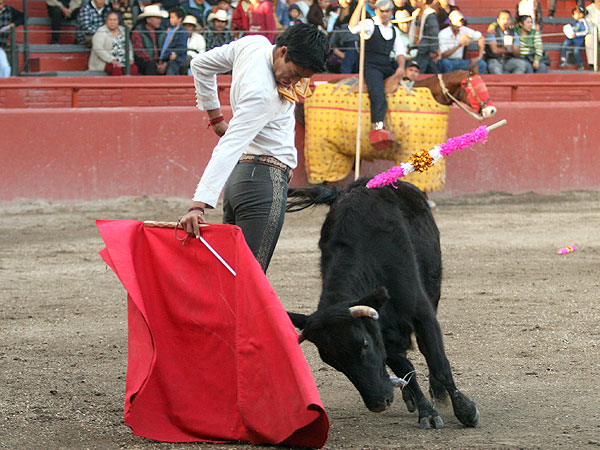 Sintiendo el muletazo