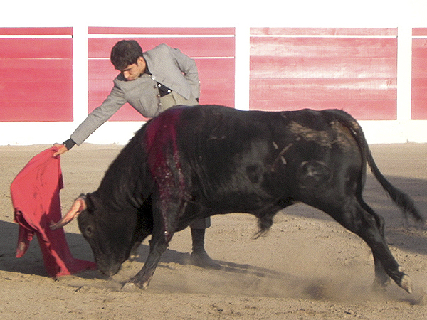 Pegado a la muleta