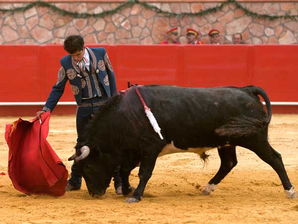 Templando la embestida