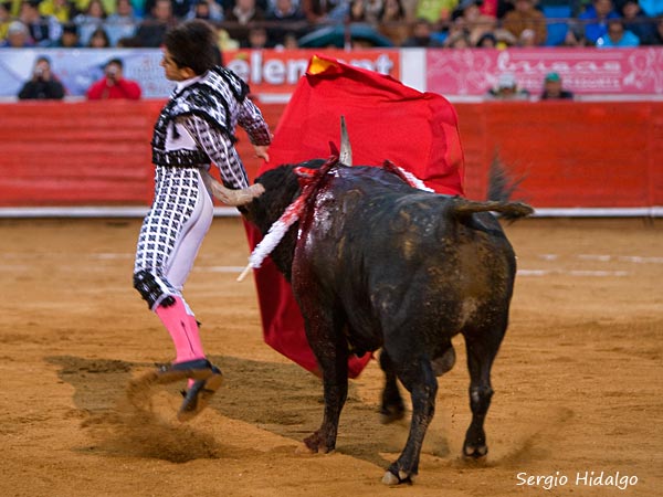 El momento de la cornada