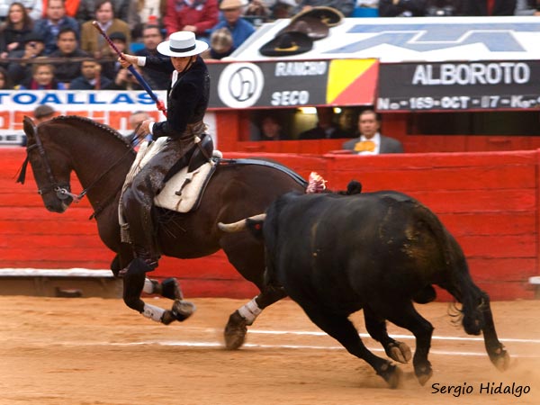 Alborotando al tendido