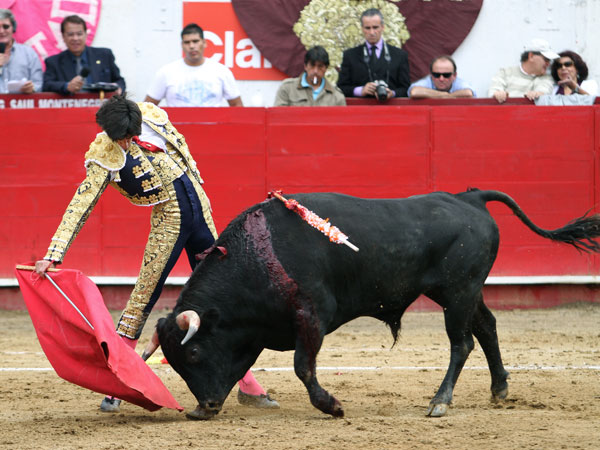 Asentado redondo del segoviano