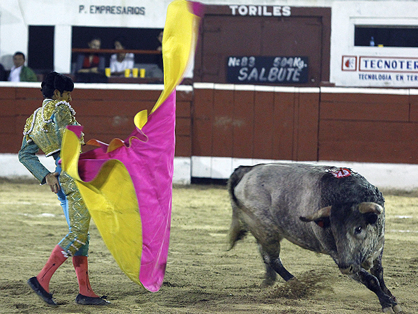 Reapareci luego de la cornada