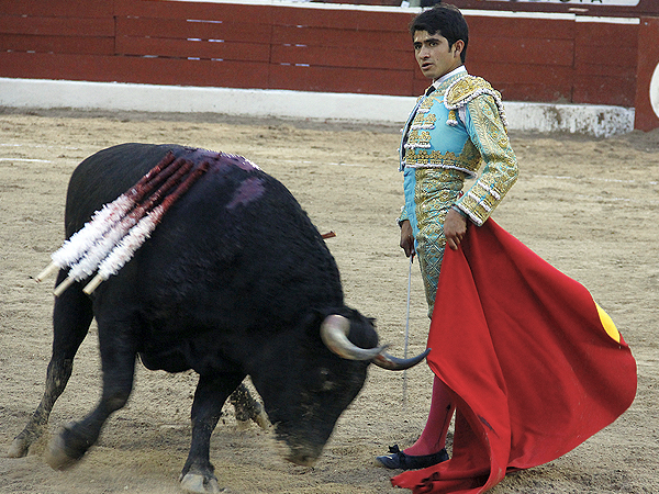 Viendo al tendido