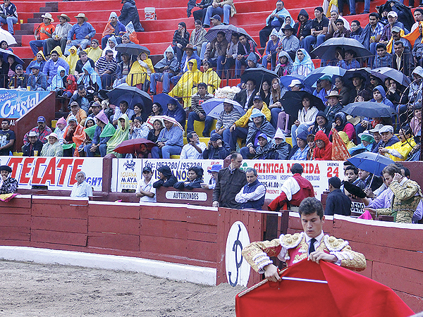 Tarde lluviosa en Mrida