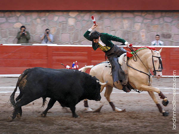 Banderilla corta