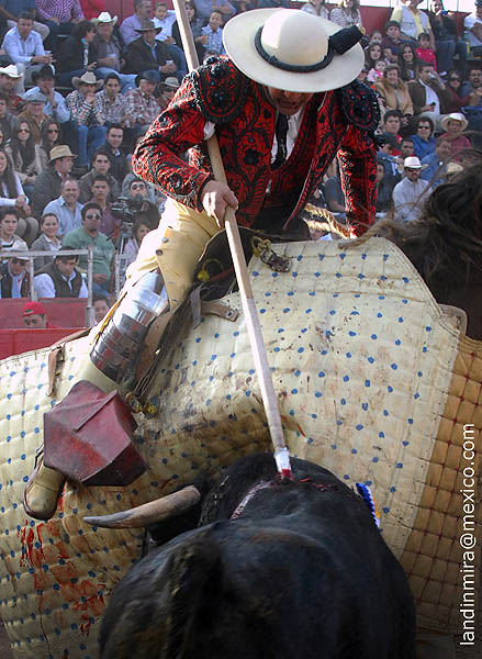 La pelea en el peto