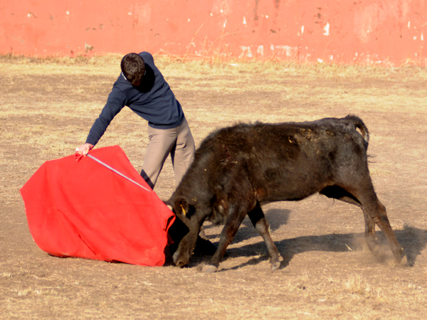 Empaque de David Martn