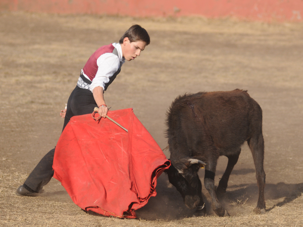 Miramontes de Guadalajara