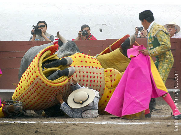 Bajo el peso de la jaca