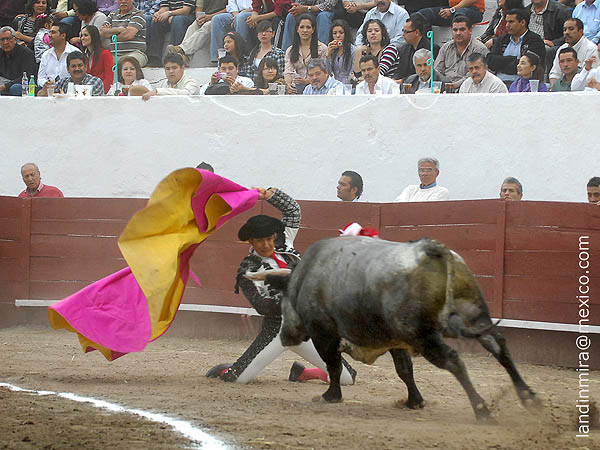 Larga de hinojos