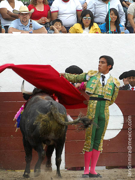 Mirando al tendido