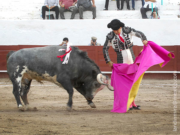 Navarras del Zapata