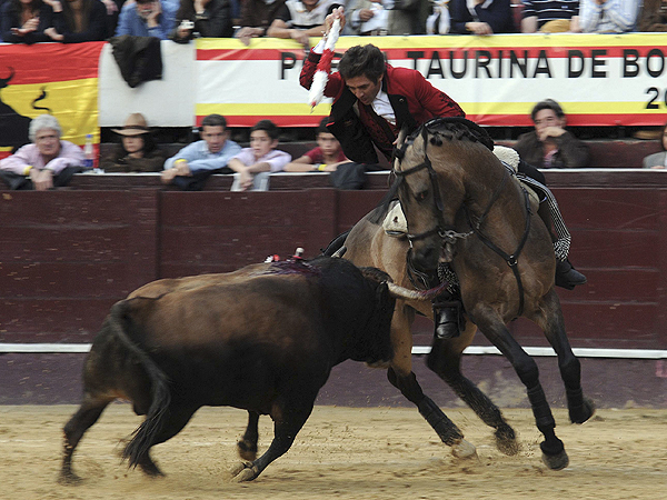 Banderilla larga