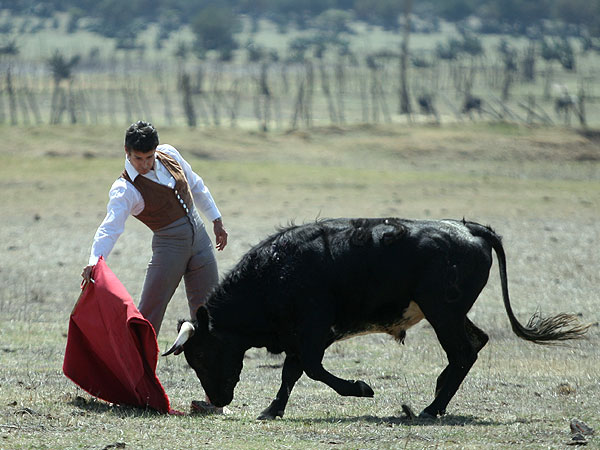 Embestida de calidad