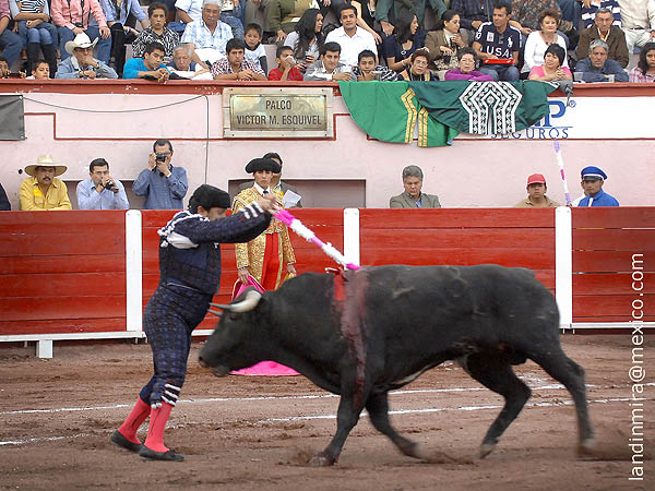 Pascual, en la cara del ejemplar