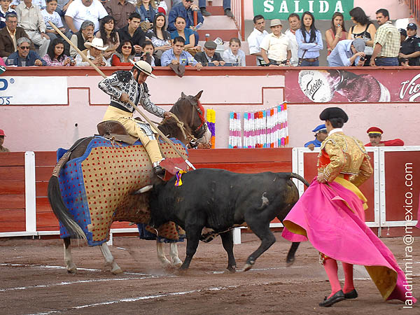 Jos Prado, palmas en su vara