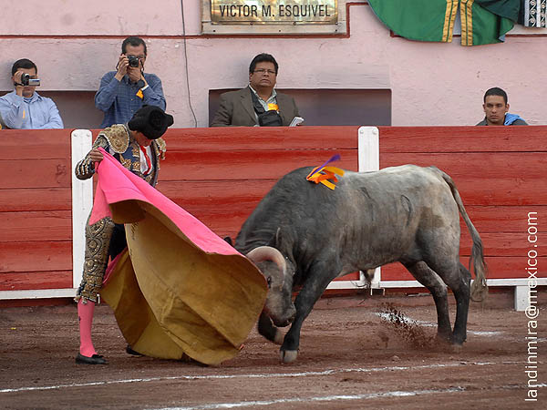 Galindo a la vernica